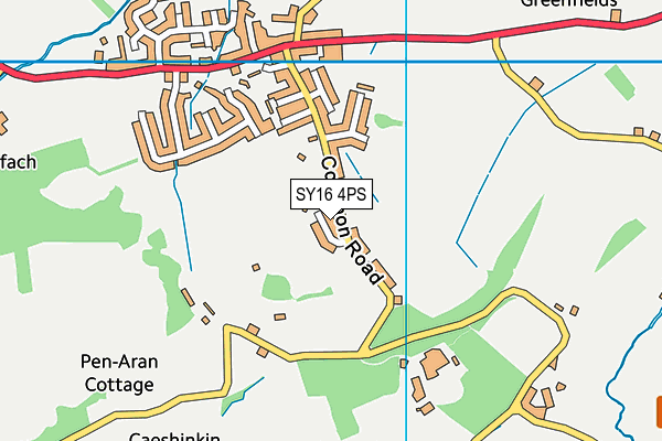 SY16 4PS map - OS VectorMap District (Ordnance Survey)