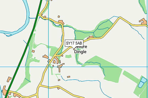 SY17 5AB map - OS VectorMap District (Ordnance Survey)