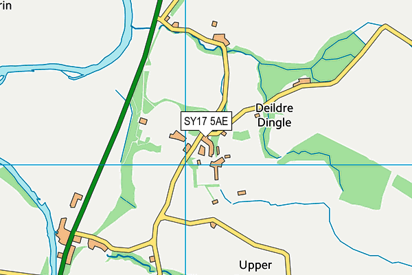 SY17 5AE map - OS VectorMap District (Ordnance Survey)