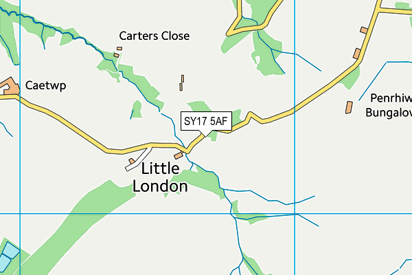 SY17 5AF map - OS VectorMap District (Ordnance Survey)