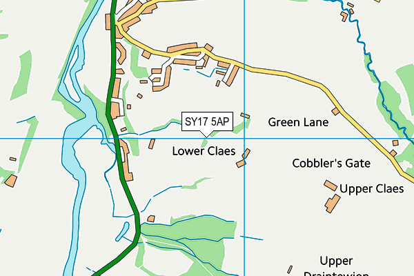 SY17 5AP map - OS VectorMap District (Ordnance Survey)