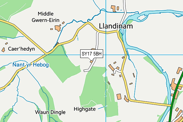 SY17 5BH map - OS VectorMap District (Ordnance Survey)