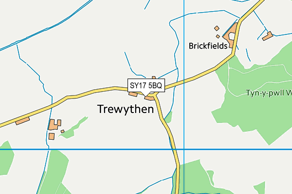 SY17 5BQ map - OS VectorMap District (Ordnance Survey)