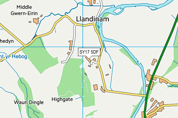 SY17 5DF map - OS VectorMap District (Ordnance Survey)