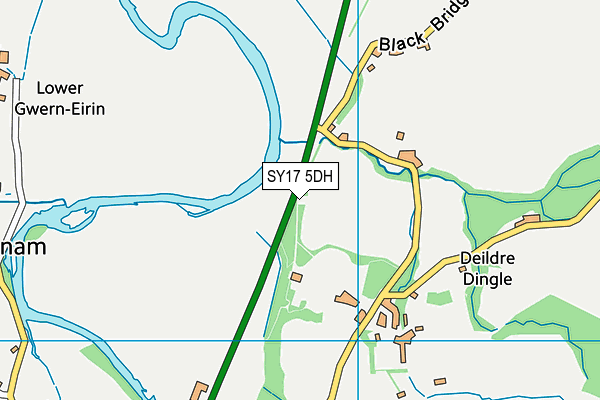 SY17 5DH map - OS VectorMap District (Ordnance Survey)