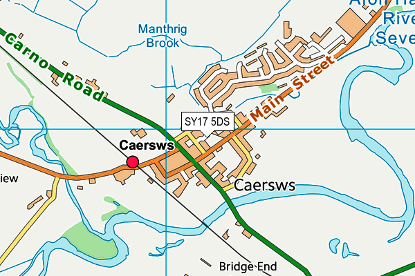 SY17 5DS map - OS VectorMap District (Ordnance Survey)