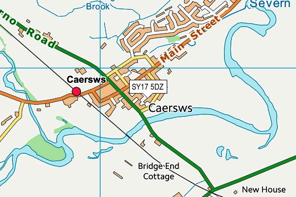 SY17 5DZ map - OS VectorMap District (Ordnance Survey)