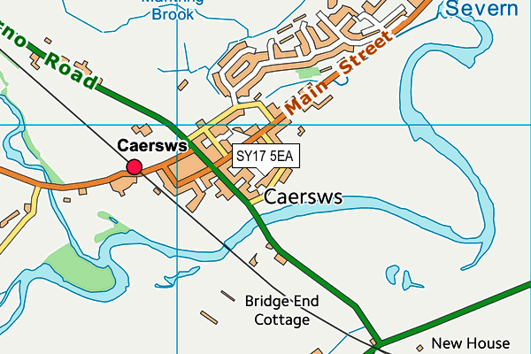 SY17 5EA map - OS VectorMap District (Ordnance Survey)