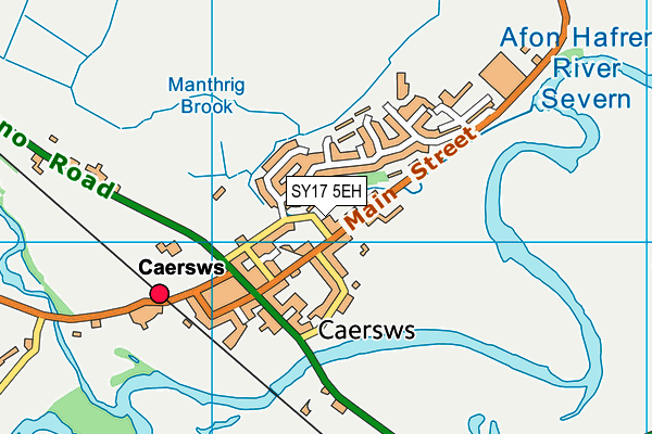 SY17 5EH map - OS VectorMap District (Ordnance Survey)