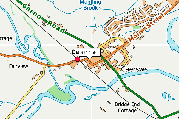 SY17 5EJ map - OS VectorMap District (Ordnance Survey)