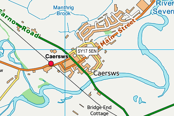 SY17 5EN map - OS VectorMap District (Ordnance Survey)