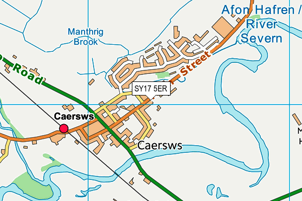 SY17 5ER map - OS VectorMap District (Ordnance Survey)