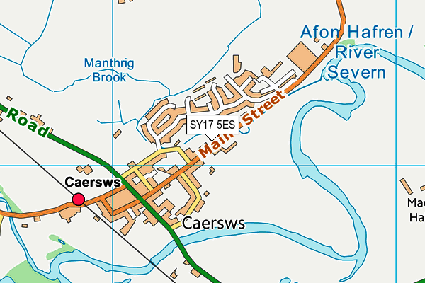 SY17 5ES map - OS VectorMap District (Ordnance Survey)