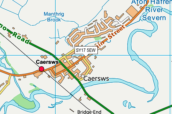 SY17 5EW map - OS VectorMap District (Ordnance Survey)