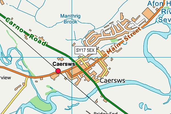 SY17 5EX map - OS VectorMap District (Ordnance Survey)