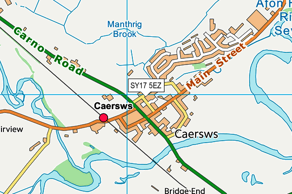 SY17 5EZ map - OS VectorMap District (Ordnance Survey)