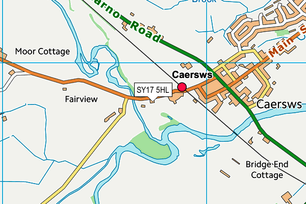 SY17 5HL map - OS VectorMap District (Ordnance Survey)