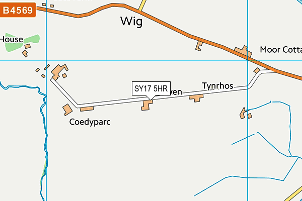 SY17 5HR map - OS VectorMap District (Ordnance Survey)