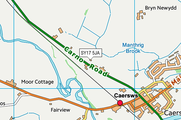 SY17 5JA map - OS VectorMap District (Ordnance Survey)