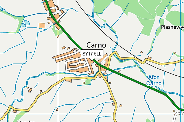 SY17 5LL map - OS VectorMap District (Ordnance Survey)