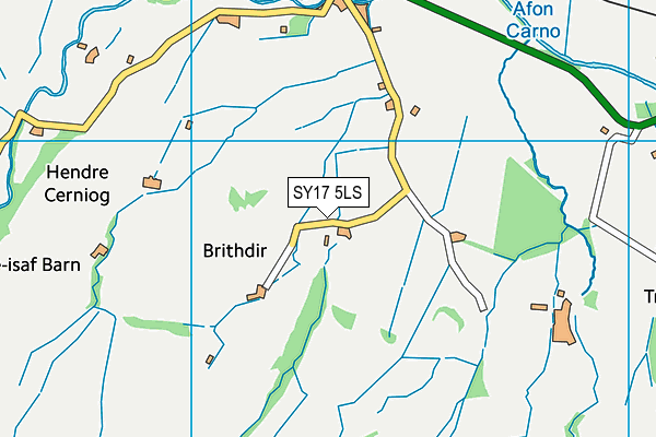 SY17 5LS map - OS VectorMap District (Ordnance Survey)