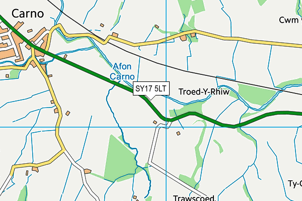 SY17 5LT map - OS VectorMap District (Ordnance Survey)