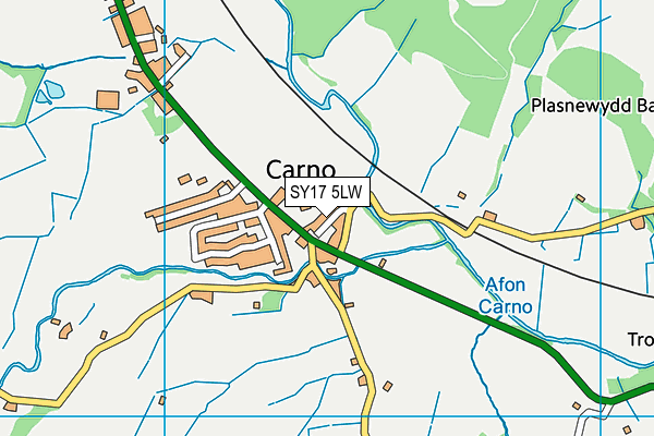 SY17 5LW map - OS VectorMap District (Ordnance Survey)