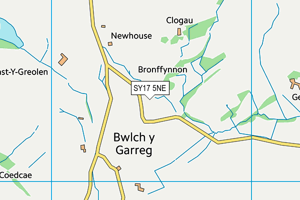 SY17 5NE map - OS VectorMap District (Ordnance Survey)