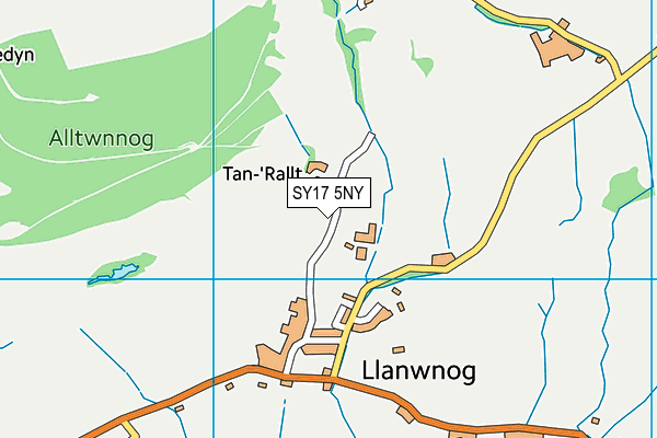 SY17 5NY map - OS VectorMap District (Ordnance Survey)