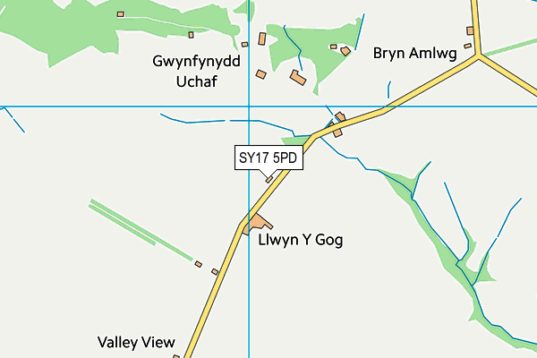 SY17 5PD map - OS VectorMap District (Ordnance Survey)