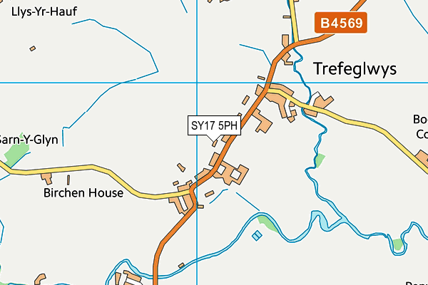 Ysgol Dyffryn Trannon map (SY17 5PH) - OS VectorMap District (Ordnance Survey)