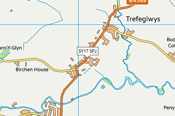 SY17 5PJ map - OS VectorMap District (Ordnance Survey)