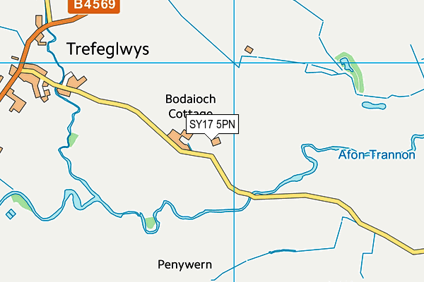 SY17 5PN map - OS VectorMap District (Ordnance Survey)