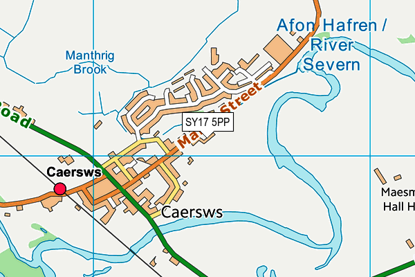 SY17 5PP map - OS VectorMap District (Ordnance Survey)