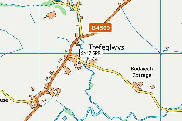 SY17 5PR map - OS VectorMap District (Ordnance Survey)