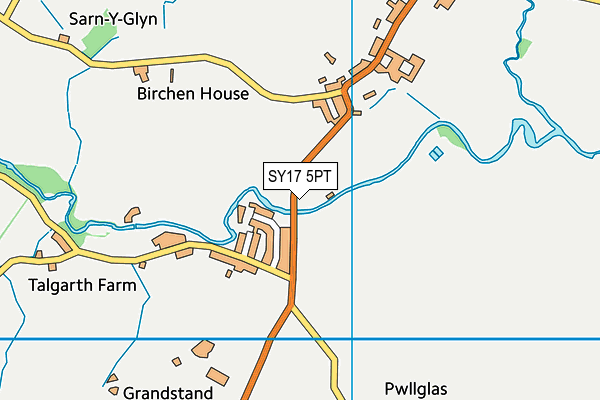 SY17 5PT map - OS VectorMap District (Ordnance Survey)