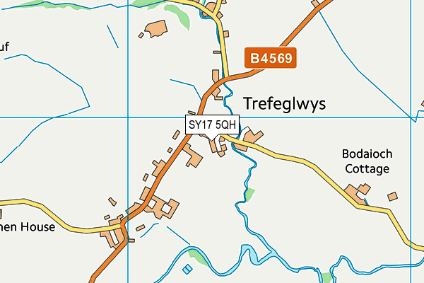 SY17 5QH map - OS VectorMap District (Ordnance Survey)