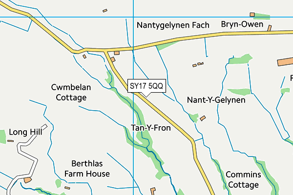 SY17 5QQ map - OS VectorMap District (Ordnance Survey)