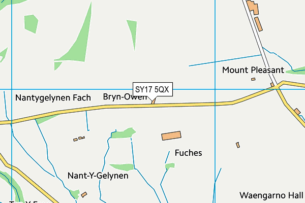 SY17 5QX map - OS VectorMap District (Ordnance Survey)