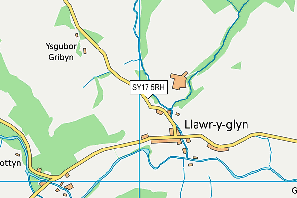 SY17 5RH map - OS VectorMap District (Ordnance Survey)