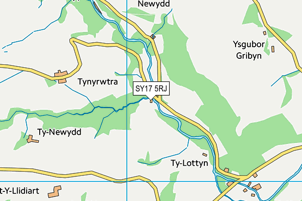 SY17 5RJ map - OS VectorMap District (Ordnance Survey)