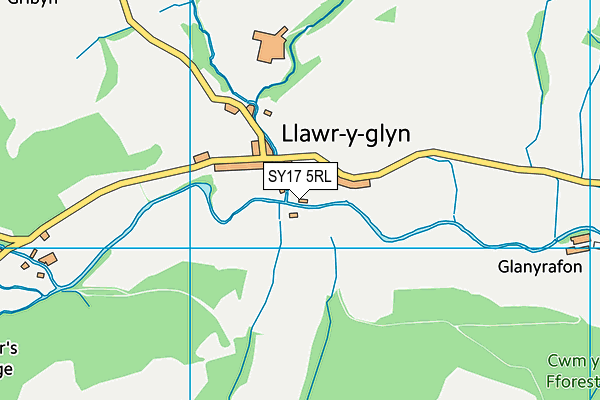 SY17 5RL map - OS VectorMap District (Ordnance Survey)