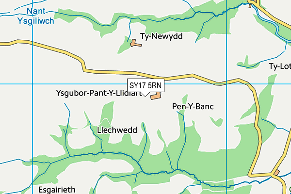 SY17 5RN map - OS VectorMap District (Ordnance Survey)