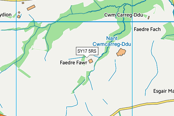 SY17 5RS map - OS VectorMap District (Ordnance Survey)