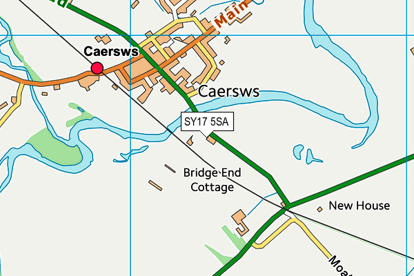 SY17 5SA map - OS VectorMap District (Ordnance Survey)