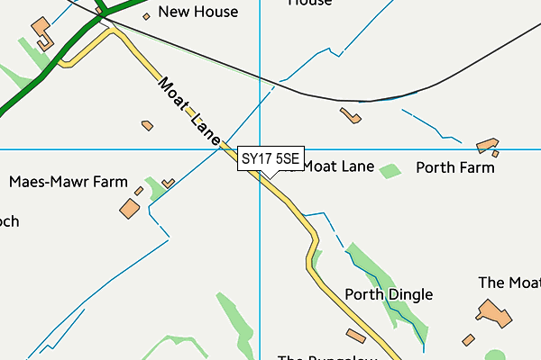 SY17 5SE map - OS VectorMap District (Ordnance Survey)