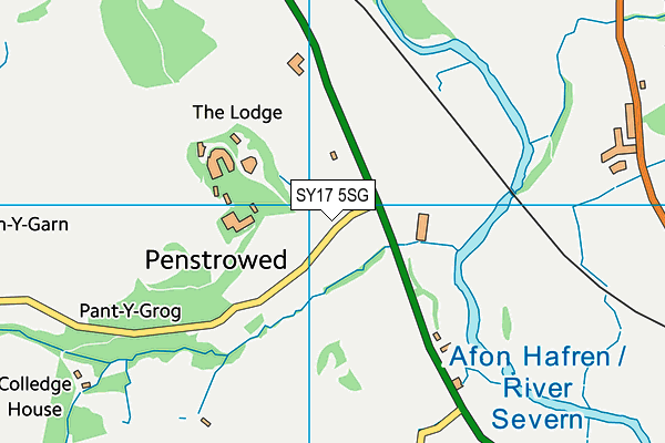 SY17 5SG map - OS VectorMap District (Ordnance Survey)