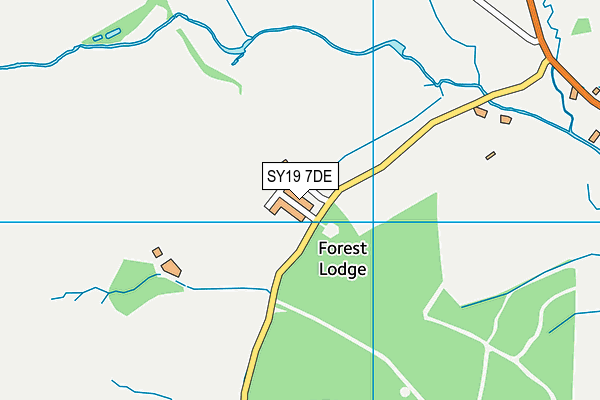 SY19 7DE map - OS VectorMap District (Ordnance Survey)