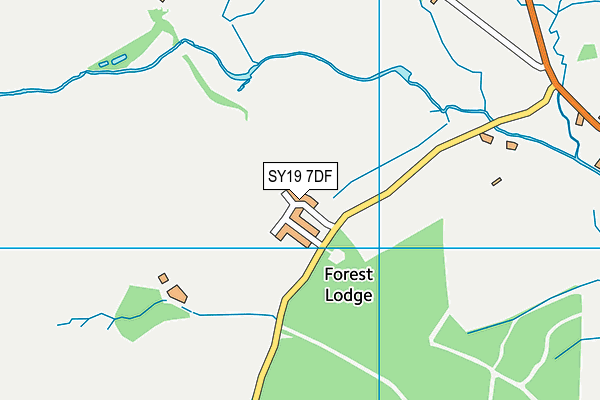 SY19 7DF map - OS VectorMap District (Ordnance Survey)
