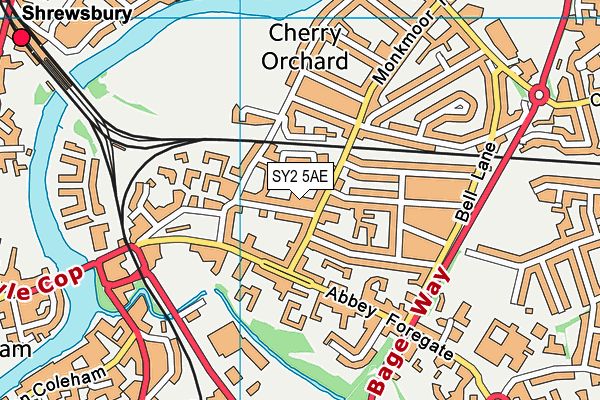 SY2 5AE map - OS VectorMap District (Ordnance Survey)